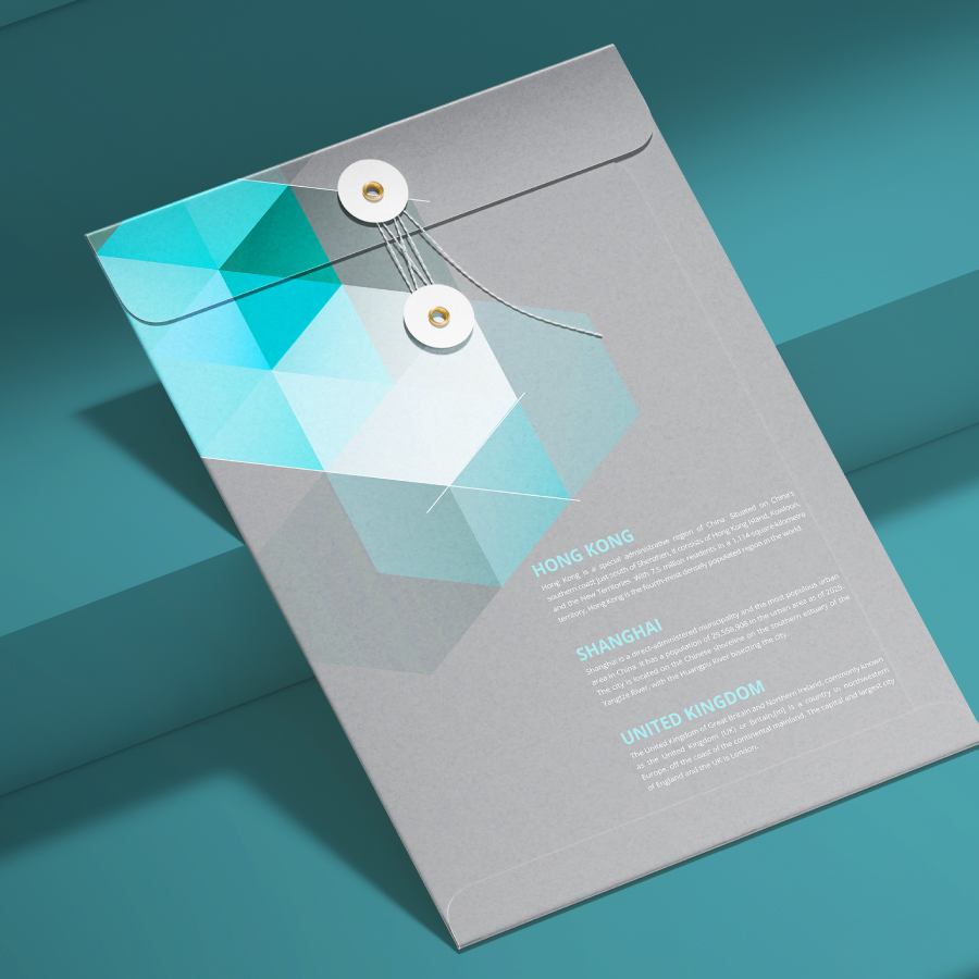 公司文儀用品印刷, 公文袋印刷, 牛皮紙公文袋印刷, 印文件袋, document envelope printing, print document envelope, 文件袋, 辦公文件袋印刷, 印刷文具, 香港印刷, 印刷公司