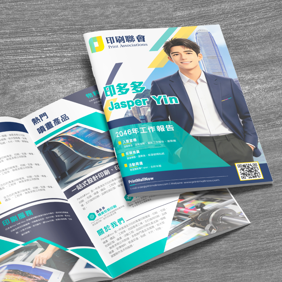 選舉印刷_BOOKLET, 議員政綱, 議員工作報告, 刊物